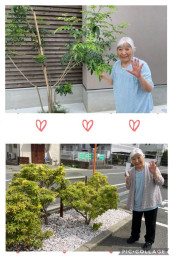 report image