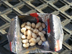 IMG_2013020324828.jpg