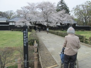 20130330_171224.jpeg