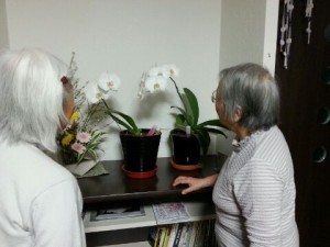IMG_201304051764.jpg