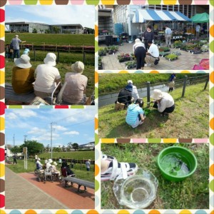 PhotoGrid_1368344171685.jpg