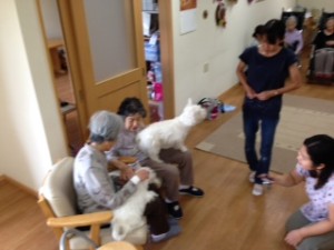20130904_153352.jpeg