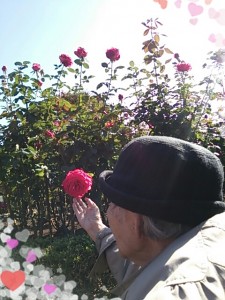 2013-10-28_141419.jpg