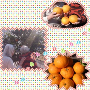 2014-03-21-10-28-20_deco_2.jpg