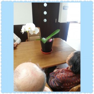 PhotoGrid_1396845436309.jpg