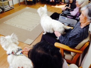 20140514_200612.jpeg