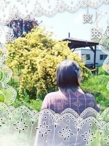LINEcamera_share_2014-05-02-.jpg