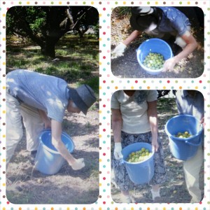 PhotoGrid_1402728932631.jpg