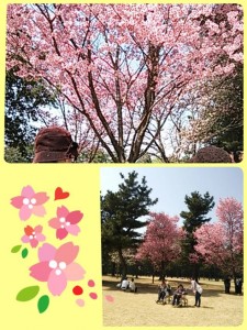2015-03-30-14-39-12_deco.jpg
