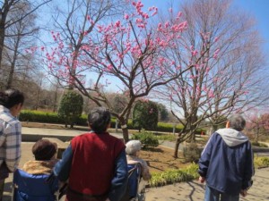 IMG_1031.JPG