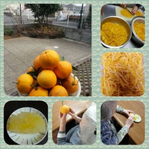 PhotoGrid_1427607788825.jpg