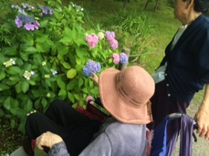 image1_5.JPG