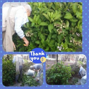 PhotoGrid_1437196712978.jpg