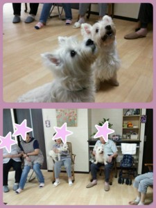 LINEcamera_share_2015-09-16-14-32-04.jpg