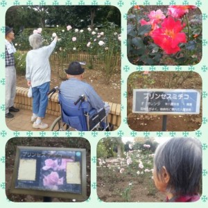 PhotoGrid_1444894830295.jpg