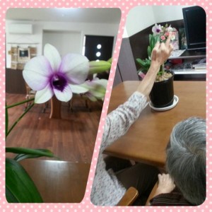 PhotoGrid_1445153221635.jpg