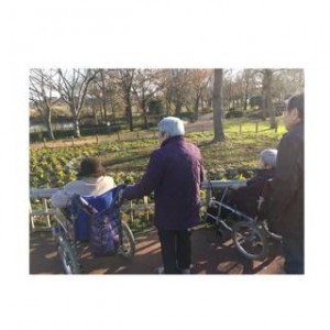 image16.jpg