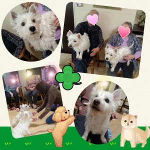 tmp_combined_photo_4.jpg